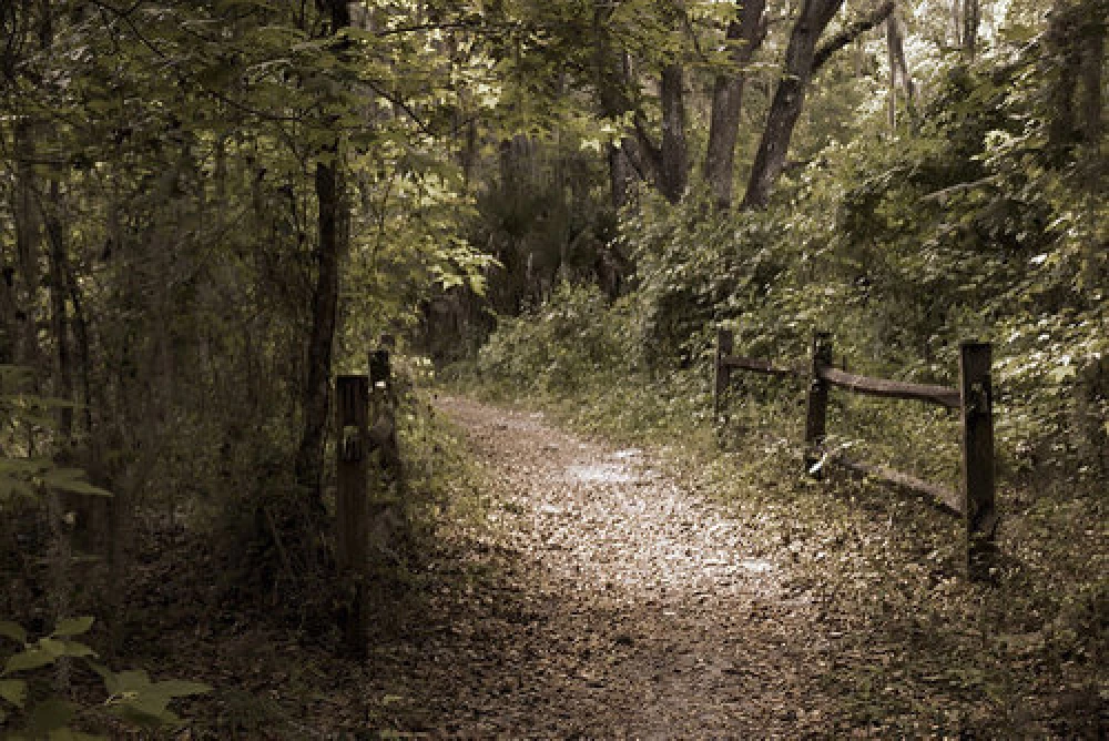 washington-small-business-guide