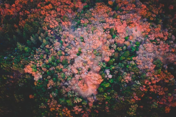 trademark-application-types