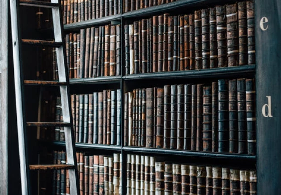 employment-law-seattle