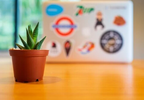 startup-founder-employee