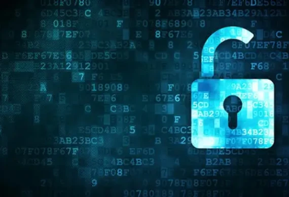 6e44e9_e9250125ca9f45268cfd5dbf8a35e903_mv2 (1)