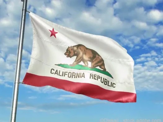 6e44e9_797800a90b184c95b1c3549c5e63d7e2_mv2 (1)