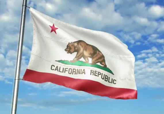 6e44e9_797800a90b184c95b1c3549c5e63d7e2_mv2 (1)